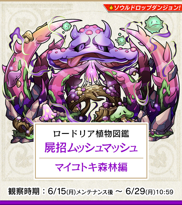 植物図鑑 マイコトキ森林編